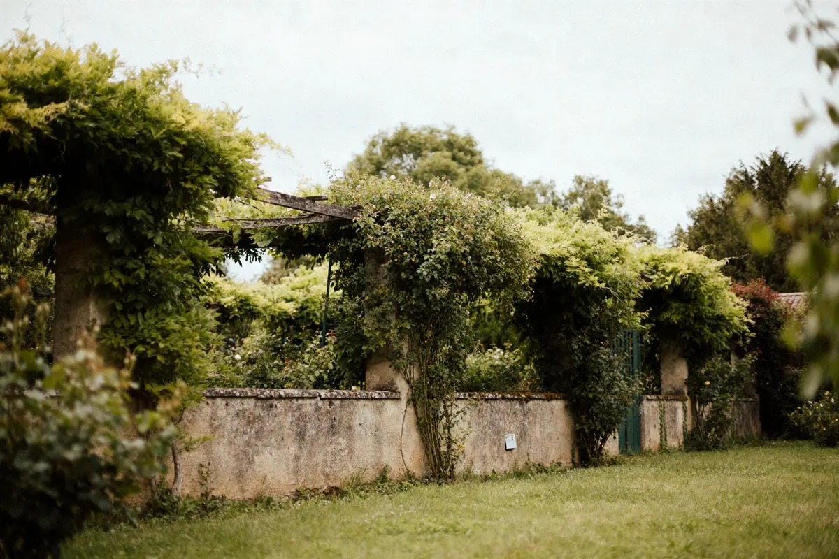 Mur de jardin couvert de verdure luxuriante pour cacher un mur de jardin naturellement